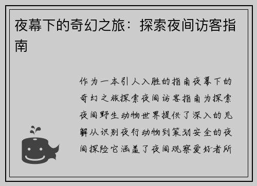 夜幕下的奇幻之旅：探索夜间访客指南