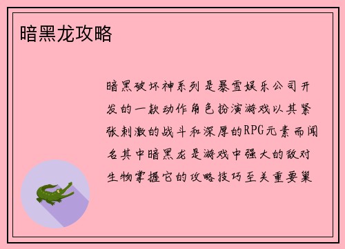 暗黑龙攻略
