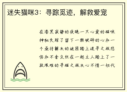 迷失猫咪3：寻踪觅迹，解救爱宠